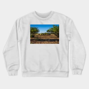 Angus Cow and Calves Crewneck Sweatshirt